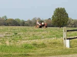Image: Farmer on Tractor in Field