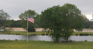 Image: American flag flying beside a pond