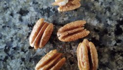 Image: Shelled pecans