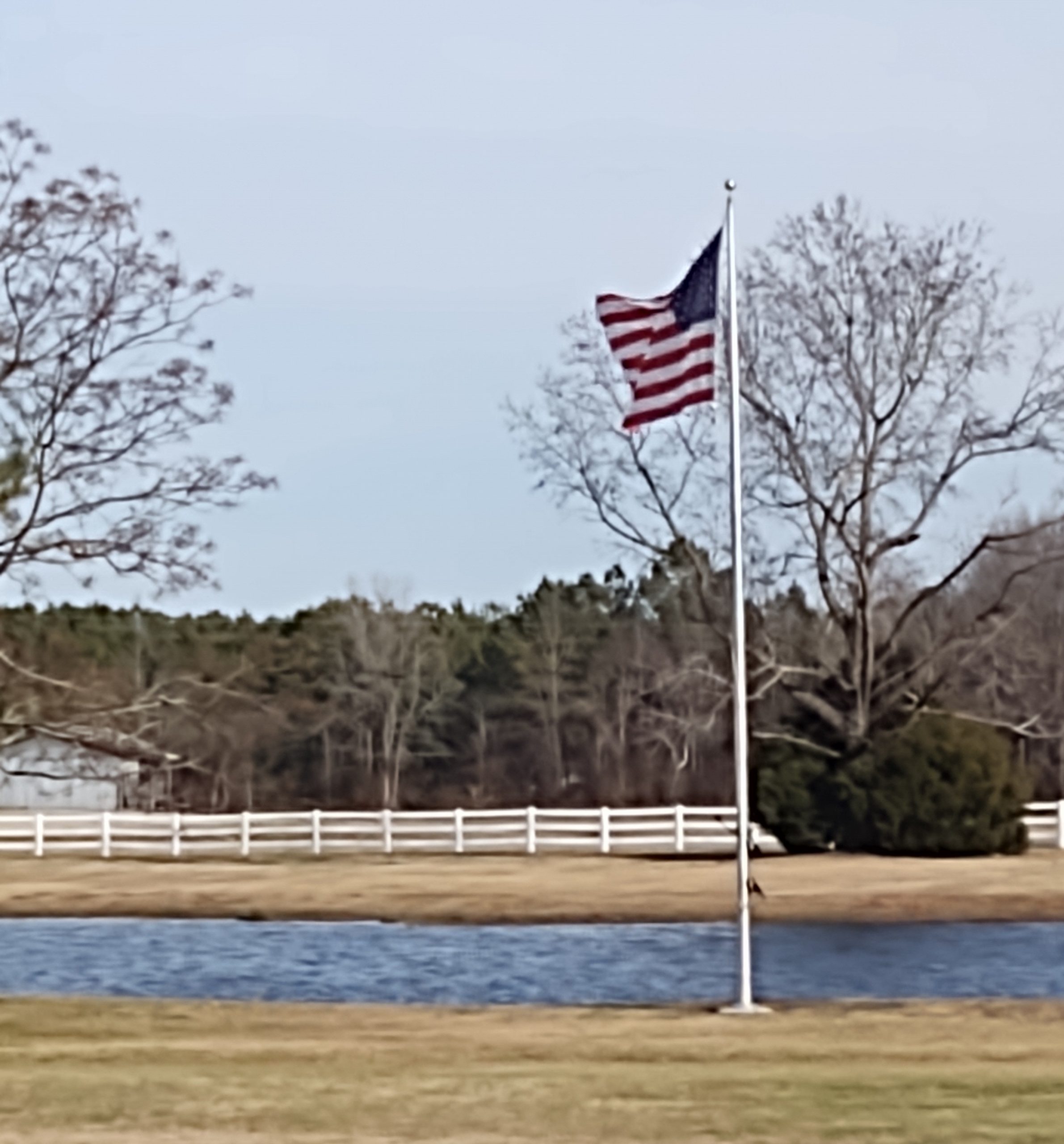 Image: American flag blowing in wind