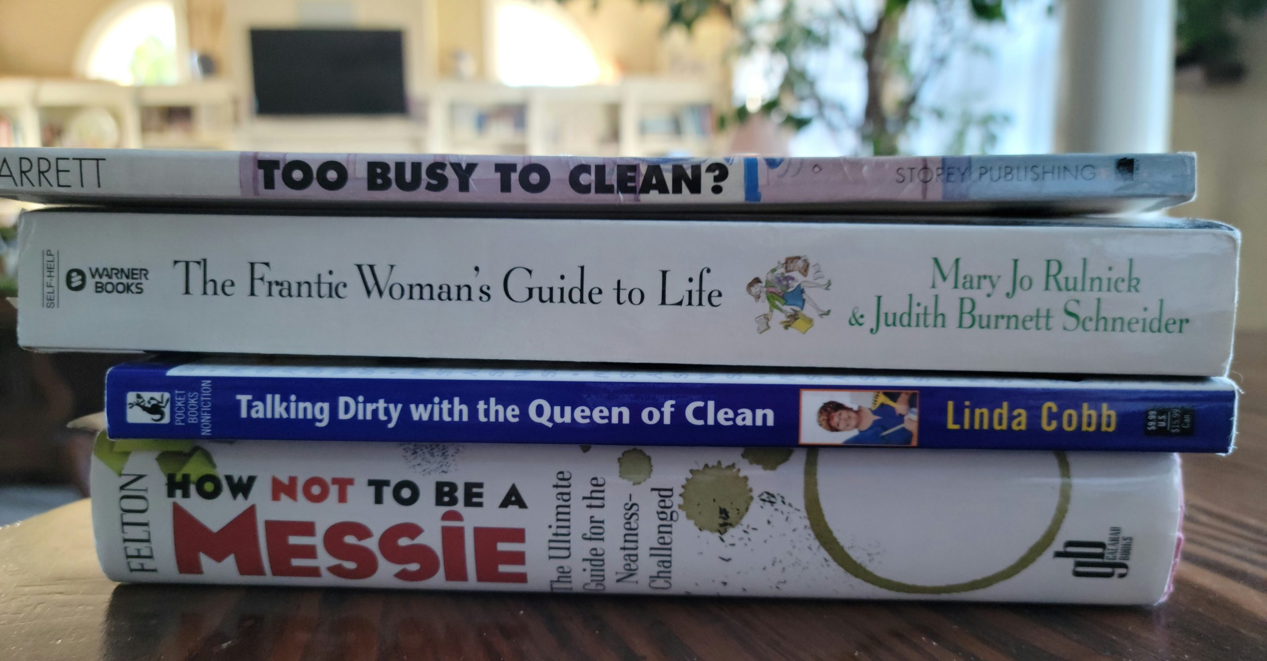 Image: Stack of cleaning books