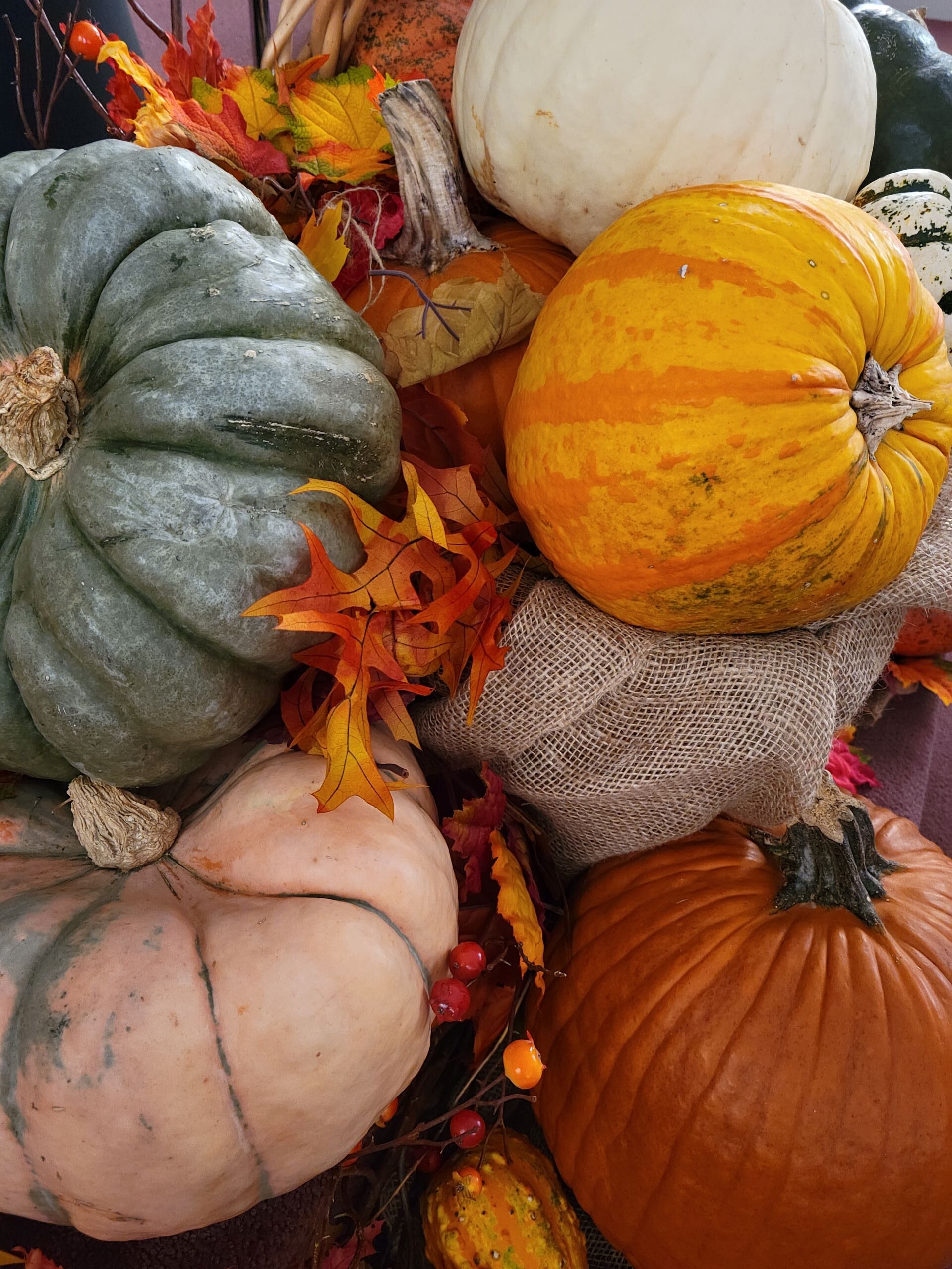 Image: Fall pumpkins
